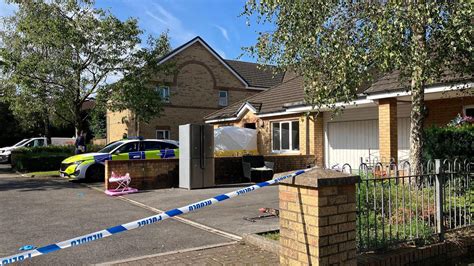six viral|Swansea: Woman arrested for murder as boy, six, dies in .